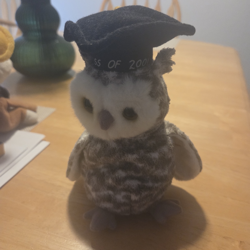 Graduation Owl Plush Toy - Gray